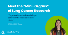 meet the mini organs of lung cancer research